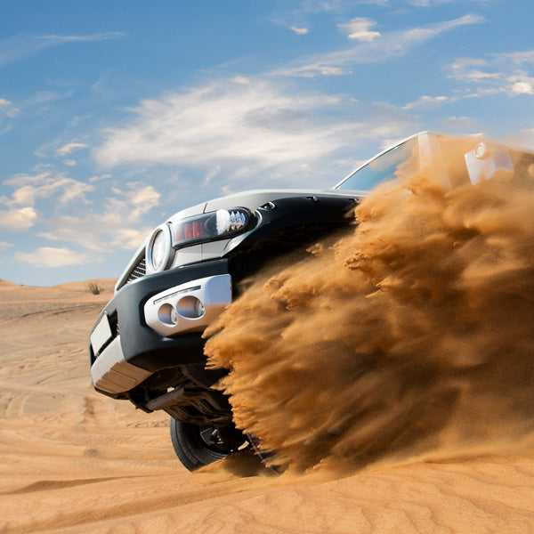 Vinove Prestige Wood Line Dakar